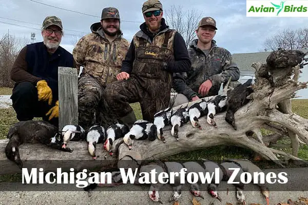 Michigan waterfowl zones