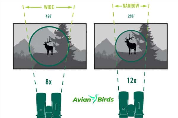 How FOV and AOV Impact Binocular Usage