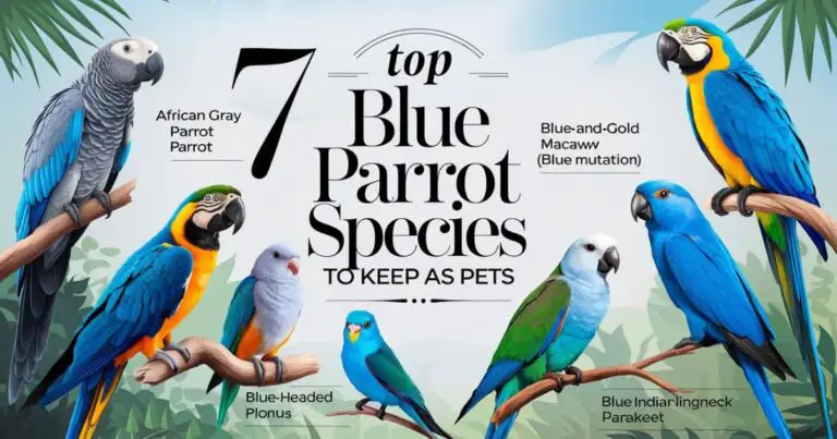 Blue Parrot Species