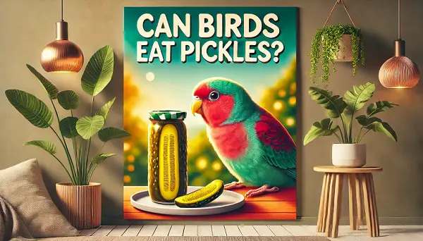 Can Birds Eat Pickles